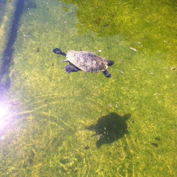 USE THE BUNDLE BUTTON AND I’ll MAKE YOU AN OFFER!!!! - Picture 2 of 2